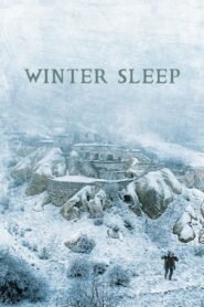 Winter Sleep Kis Uykusu
