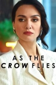 As the Crow Flies: Season 3