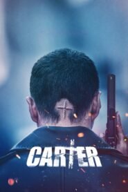 Carter 카터